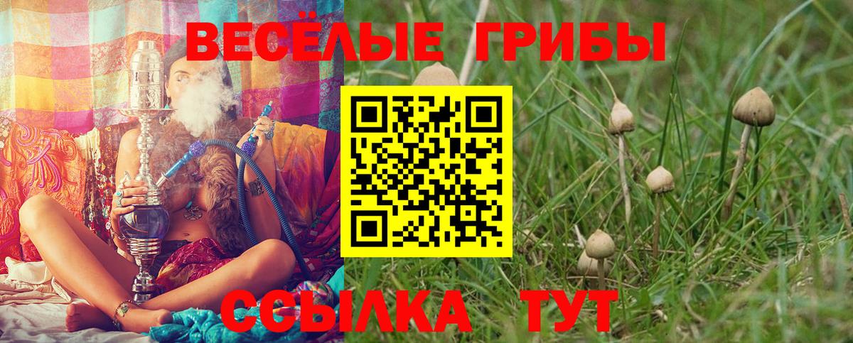 Мыски  COCAIN  Вход с VPN  Мефедрон кристаллы  ГАШИШ  АМФ кристаллы  MDMA  Гашиш  Конопля 